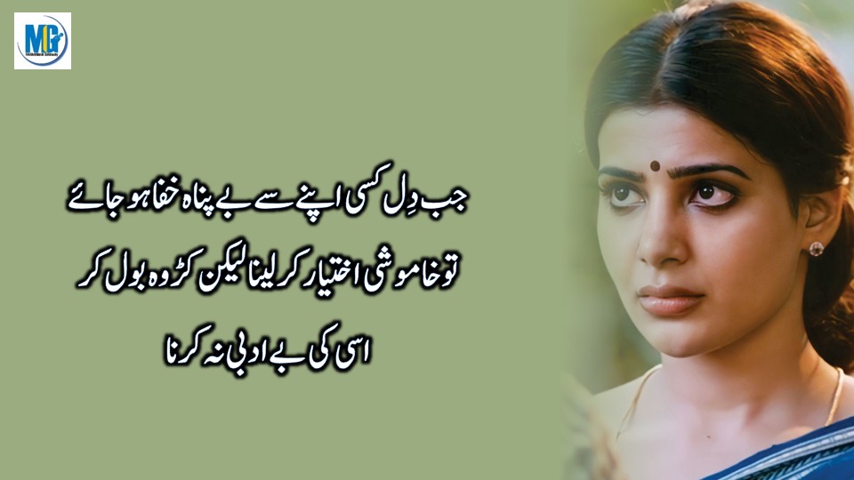 34 Heart Touching Lines in Urdu Hindi Deep Quotes