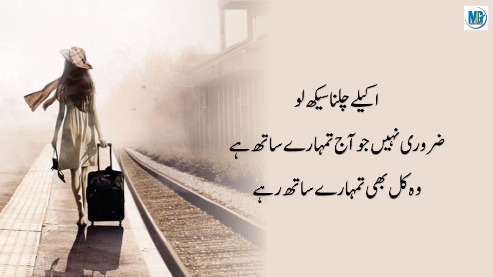 quotes about importance of education in urdu