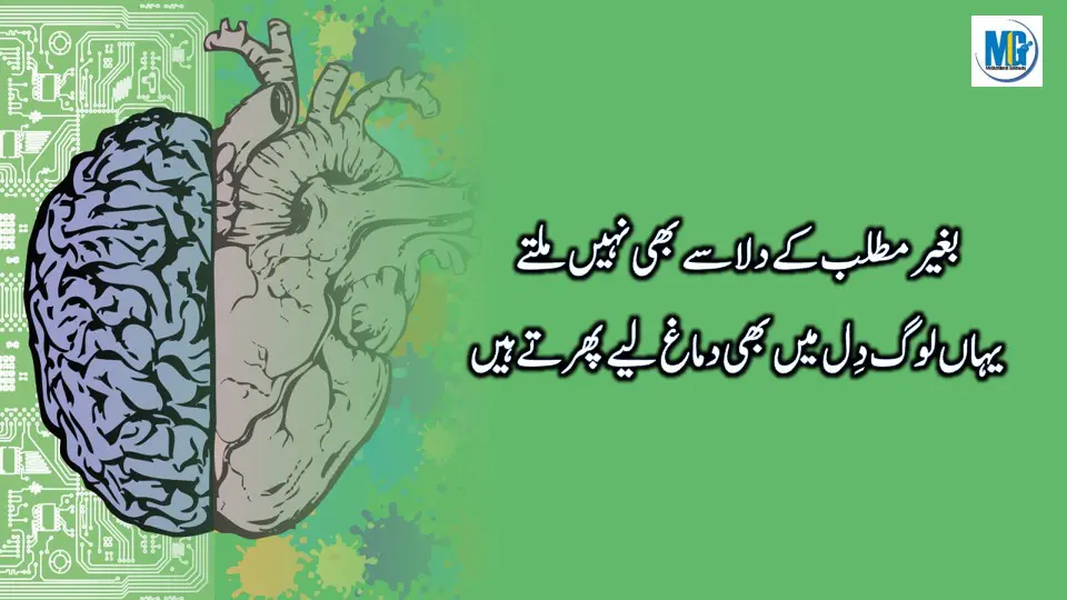 Duniaa Waloo Ki Anokhii Batein -Best Urdu Life Quotes Collection - Urdu Aqwal e Zareen - New Urdu Quotes About Life - Motivational Gateway Urdu Quotes