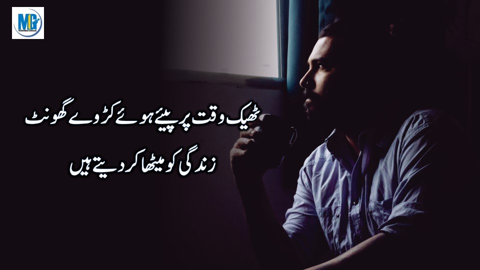 Urdu Quotes Golden Words -Amazing Life Quotes-Life Quotes New Collection Emotional Quotes