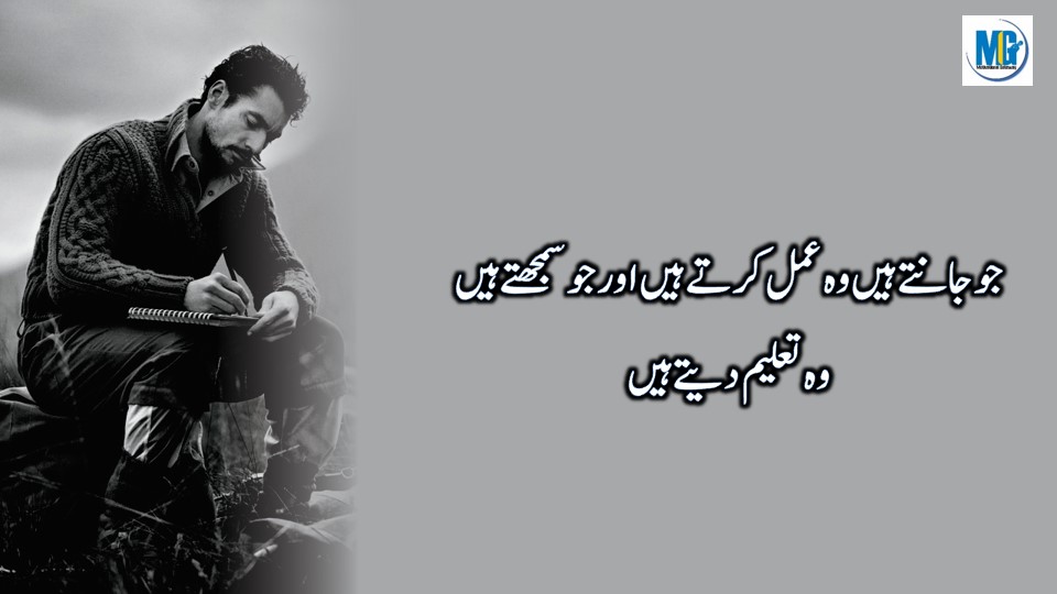 quotes about importance of education in urdu