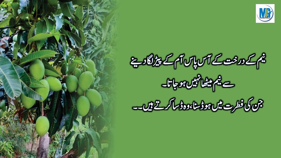 Sachy Alfaz Life Changing Quotes Urdu Quotes