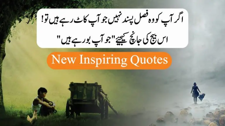 Life-Changing Quotes to Inspire and Motivate You – Inspiring Quotes About Life in Urdu Hindi -Quotes About Life – Motivational Quotes About Life In Urdu – Motivational Gateway