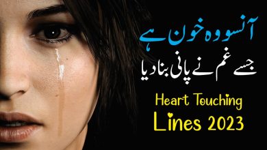 Heart Touching Quotes - Life Changing Quotes In Urdu Hindi - Sad Quotes - Urdu Poetry - Motivational Gateway