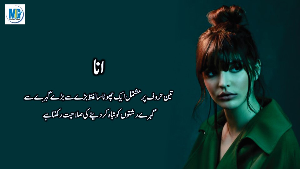 Famous Quotes In Urdu Hindi - Motivational Gateway Quotes About Anaa