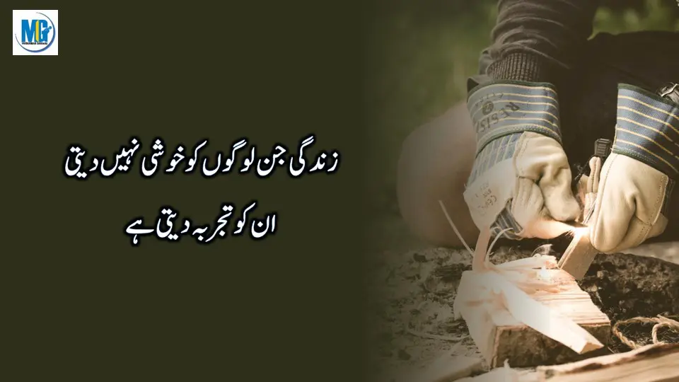 Most Powerful And Precious Quotes About Life In Urdu Hindi Life Quotes