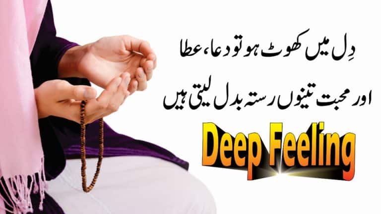 Deep Feeling Quotes In Urdu Hindi