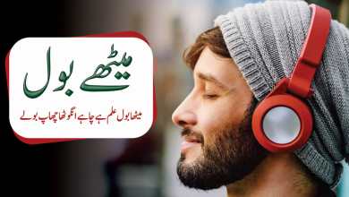 Peace mind Set Quotes Collection In Urdu Hindi - Mind Changing Quotes - Daily Quotes -Famous Quotes - Motivational Gateway