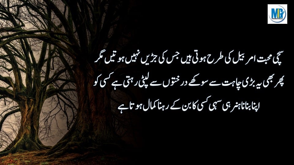 Alfaz Kabhi Nahi Palaty Urdu Aqwal e Zareen Love Quotes