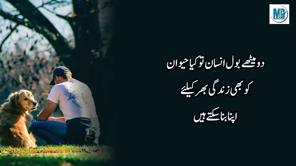 Inspirational Quotes | Quotes of The Day | Motivational Quotes in Urdu | Life Changing Quotes | Motivational Gateway Heart Touching Quotes