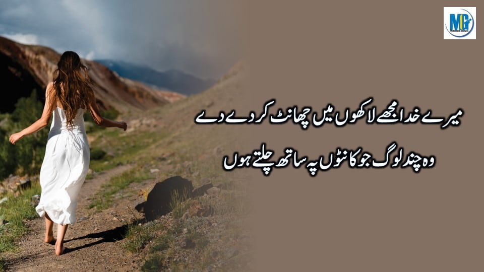 Daily Life Quotes In Urdu Hindi Emotional Poetry