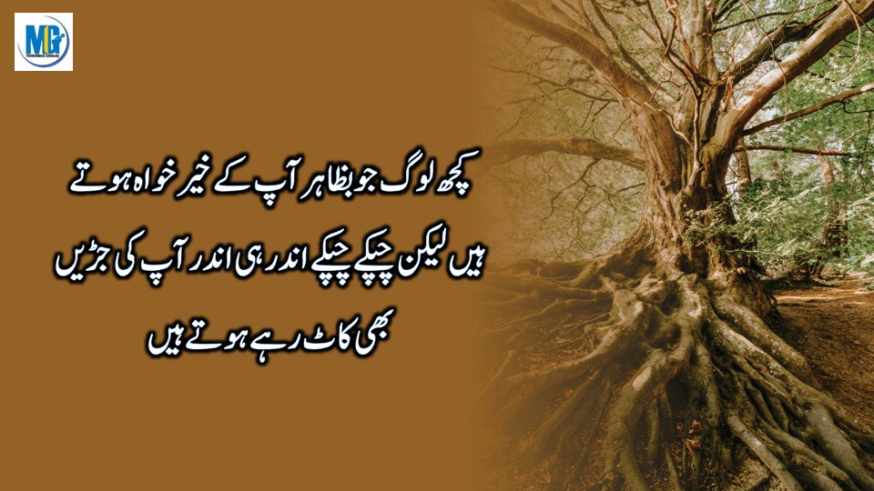 Urdu Quotes About Life 