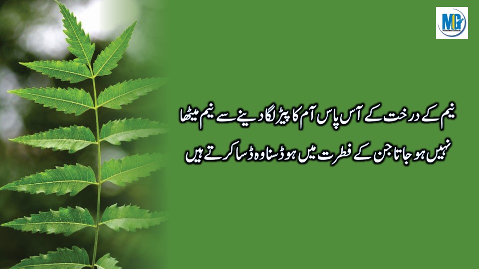 Urdu Quotes 