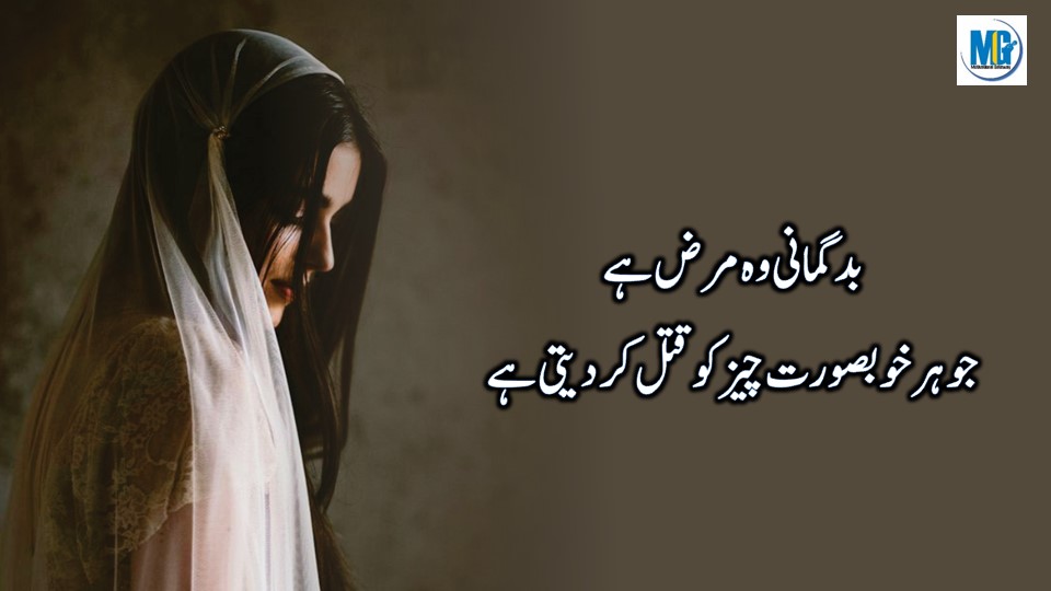 Deep Lines Urdu Quotes Emotional Quotes