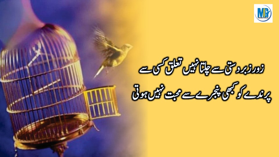 Heart Touching Poetry 