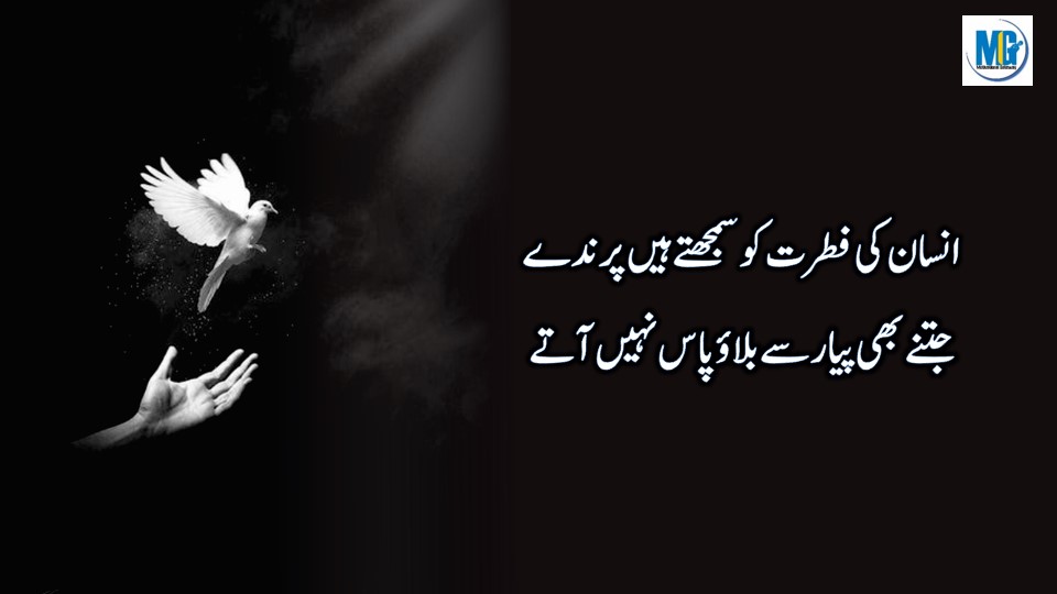 Urdu Quotes 