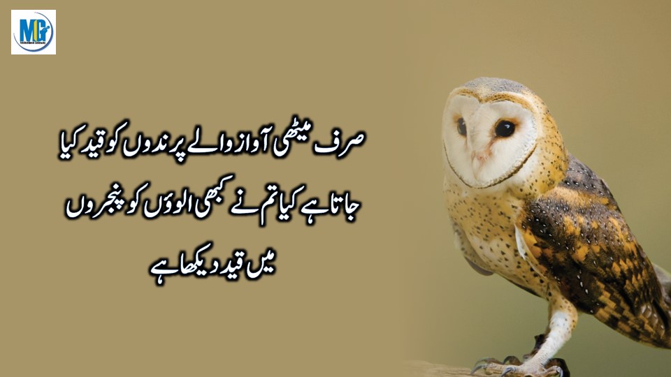 Urdu Quotes 