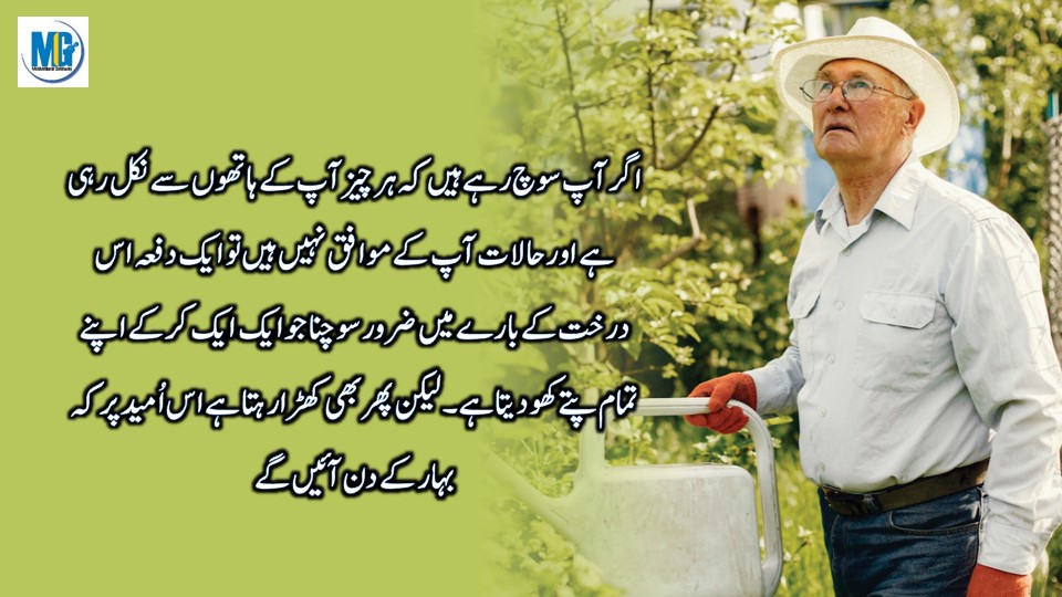 Karway Mgar Sacy Alfaz Heart Touching Quotes