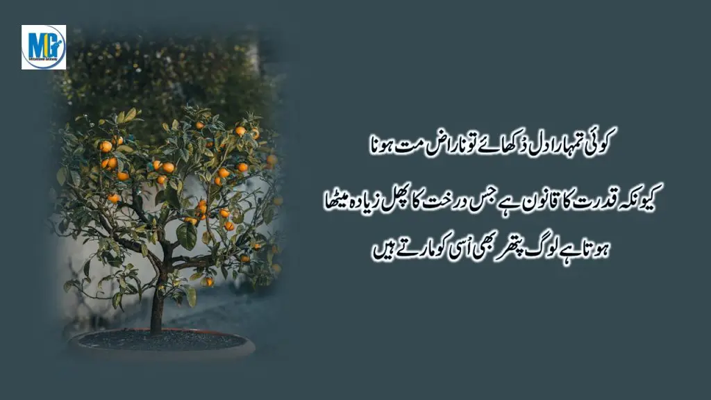 Hazrat Ali ki Qeemti Baatein | Best Collection Of Hazrat Ali Quotes About Life And People In Urdu | Life Changing Quotes | Motivational Gateway Emotional Quotes