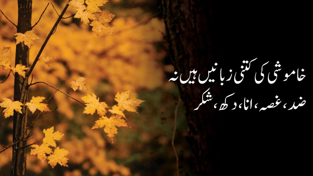 Urdu Quotes About Khamoshi 
