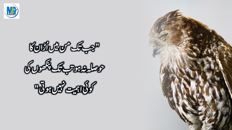 Urdu Quotes 