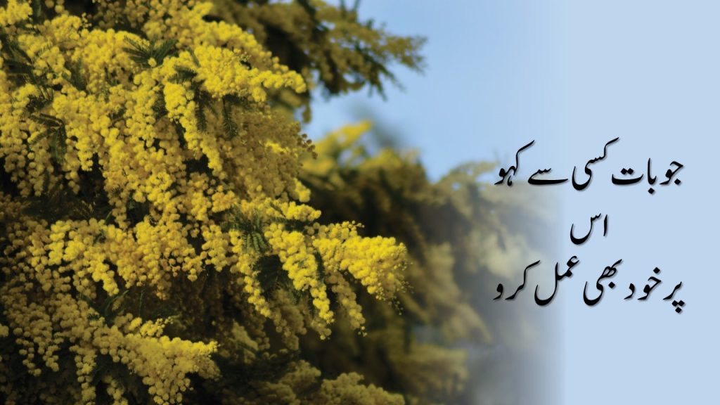  Urdu Quotes 