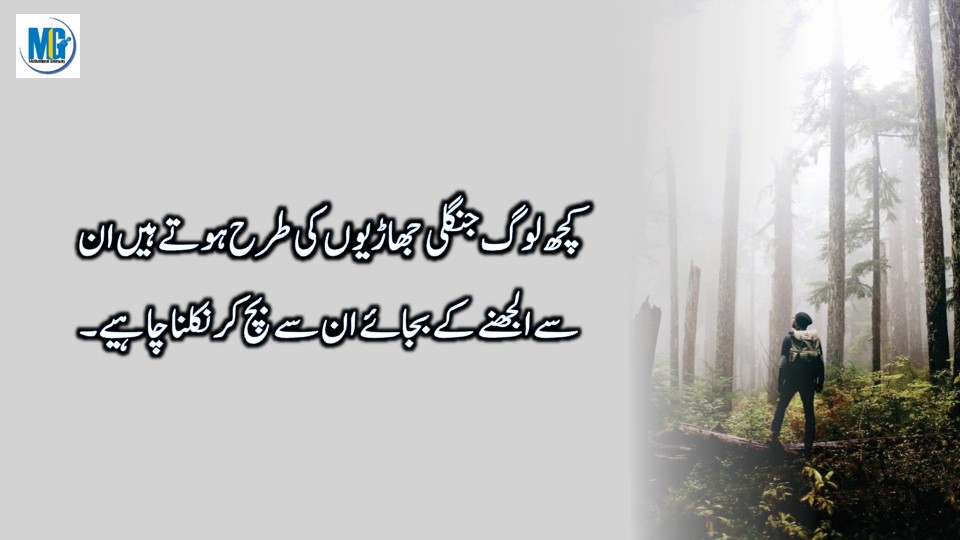 Urdu Quotes 