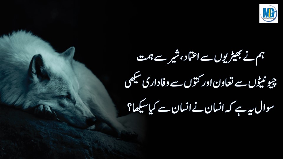 Urdu Quotes 