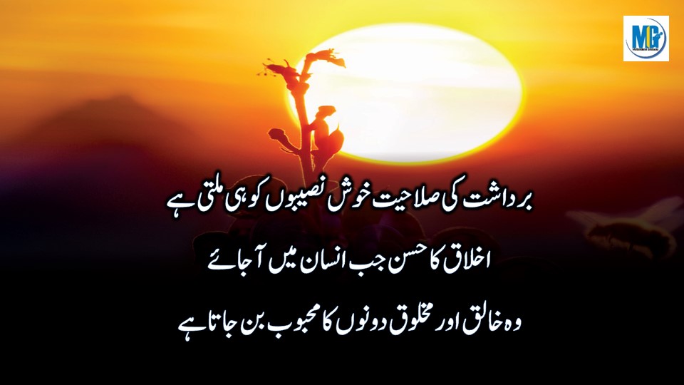 Beautiful Lines About Character in Urdu Inspiring Quotes