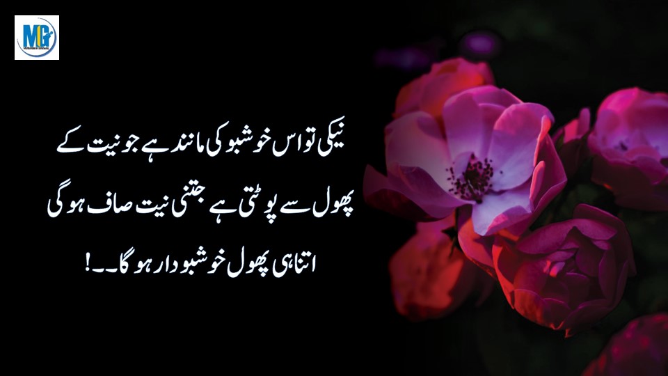 Beautiful Lines About Character in Urdu Beautiful Life Quotes
