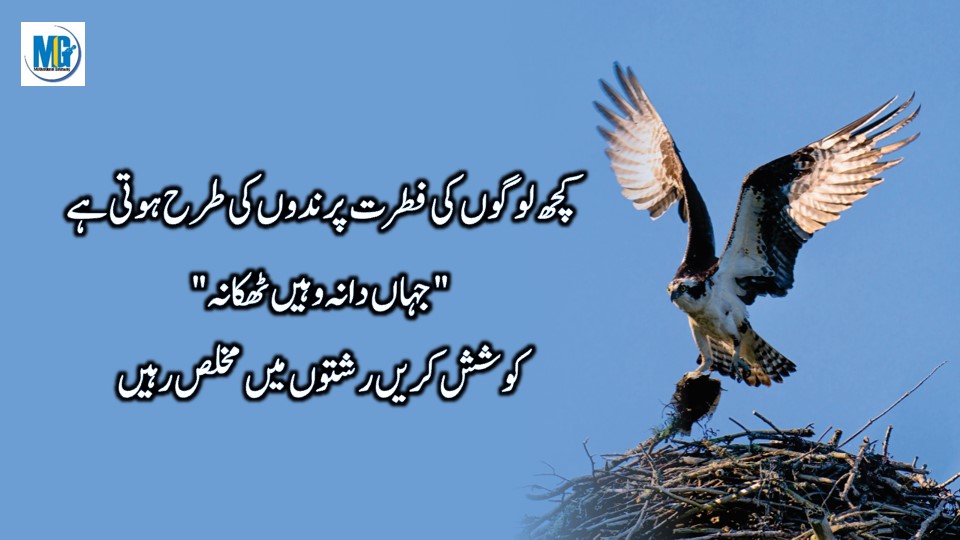 Wisdom Thoughts जमाने से सीखी हुई कुछ सच्ची बातें Quotes About People