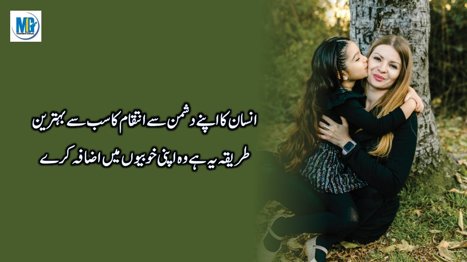 Beautiful Lines About Character in Urdu Precious Quotes