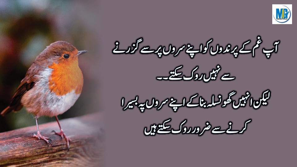 Wisdom Thoughts जमाने से सीखी हुई कुछ सच्ची बातें Quotes About Life
