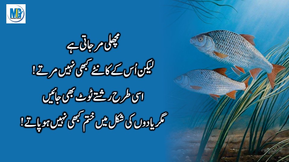 Urdu Quotes About Relationship 