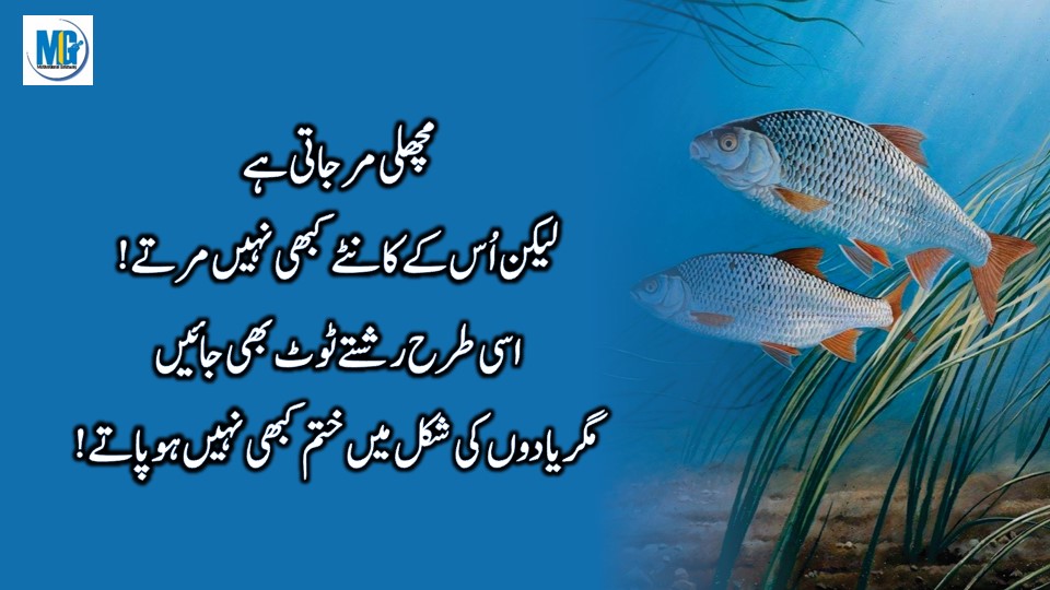 Wisdom Thoughts जमाने से सीखी हुई कुछ सच्ची बातें Urdu Quotes About Relationship