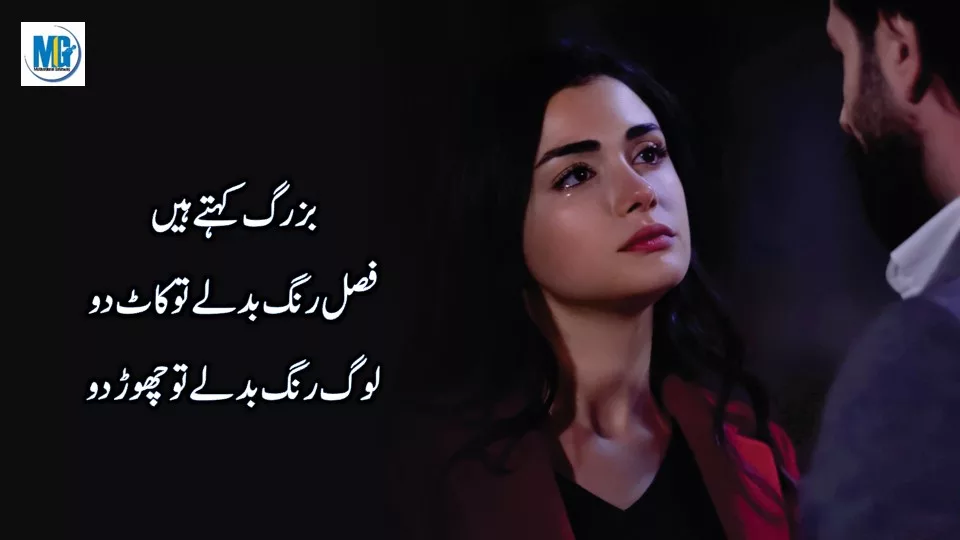Precious Words In Urdu Sad Quotes