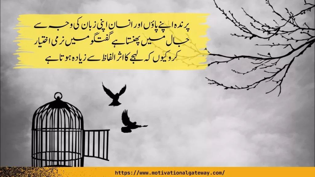 Zindagi Ki Seekh Urdu Quotes About Life Precious Quotes About Life