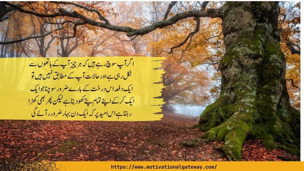 Heart Touching And Amazing Urdu Quotes About Life Inspiring Quotes